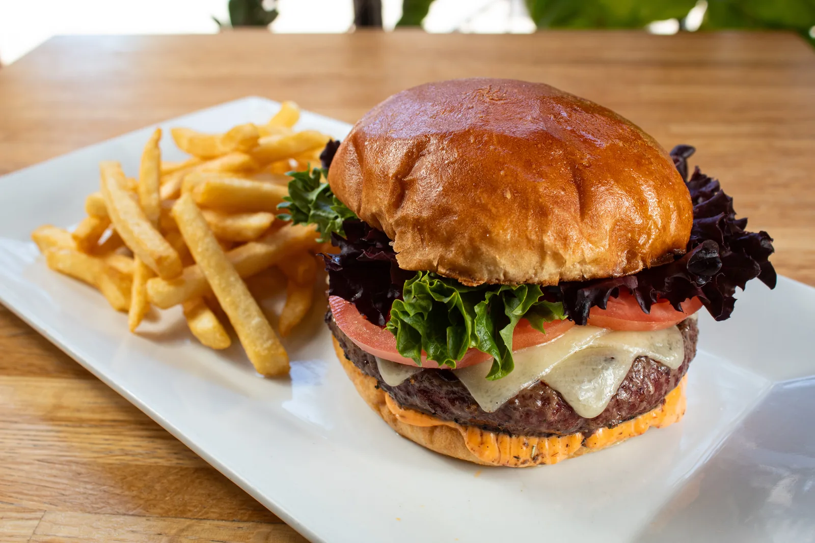 Burger and fries